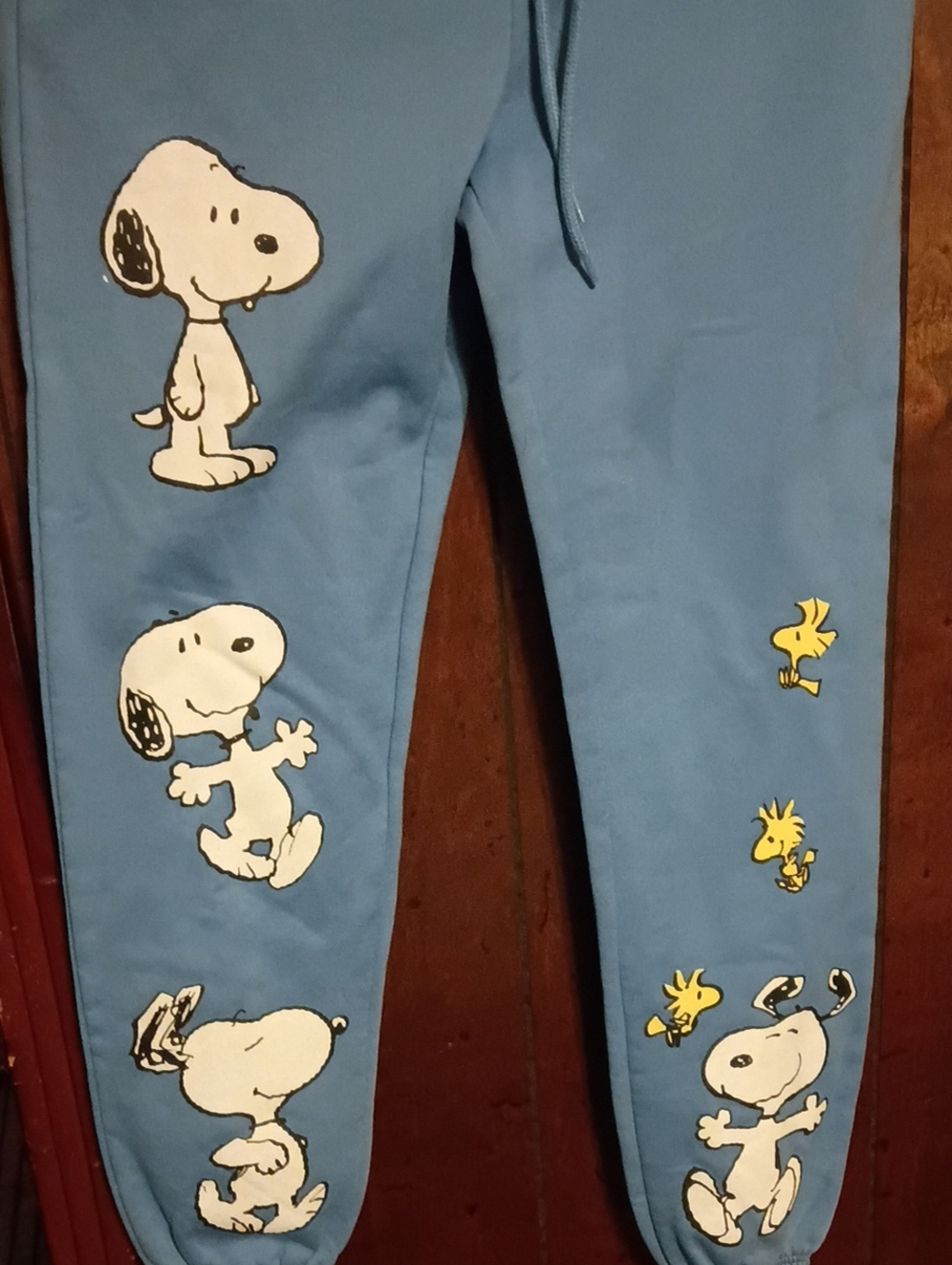 Peanuts Light Blue Snoopy & Woodstock Joggers